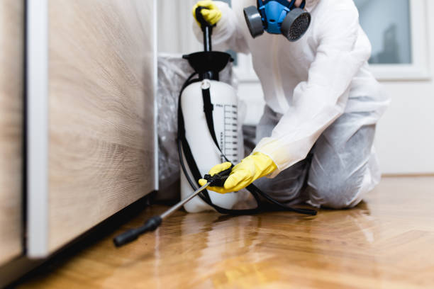 Reliable Somerset, MD Pest Control Solutions